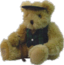 The Golfer Voice Recordable Bear