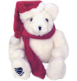Christmas Noel Voice Recordable Bear